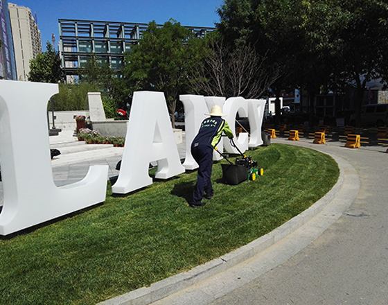 園林公司,綠化工程