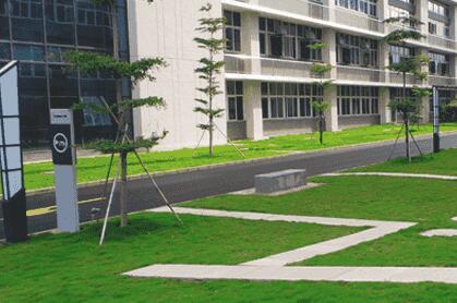 綠化苗木移植過程中,土球散了怎么辦? 別急,園林公司有辦法