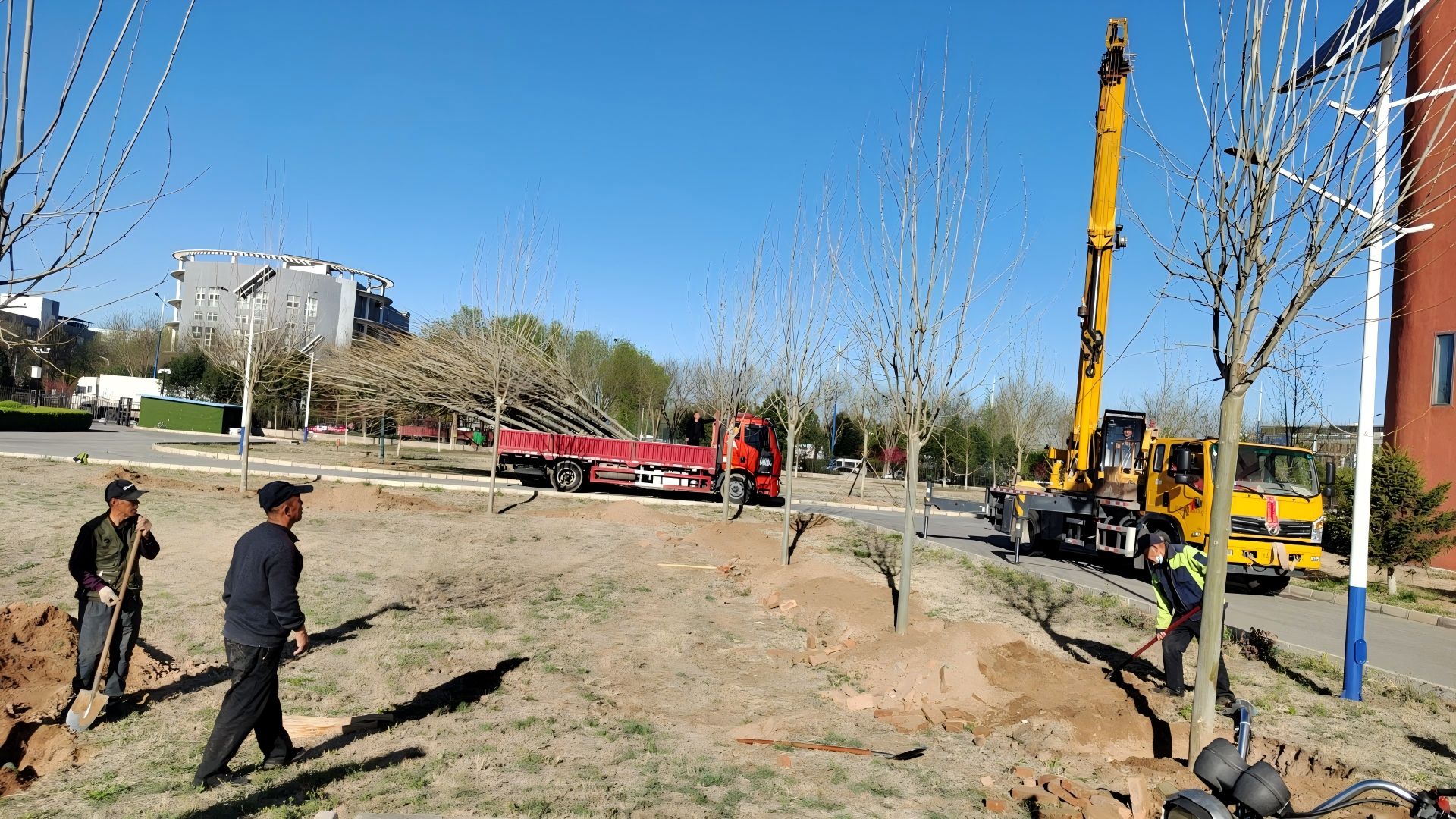 在北京進行春季種樹，最佳時間是什么時候